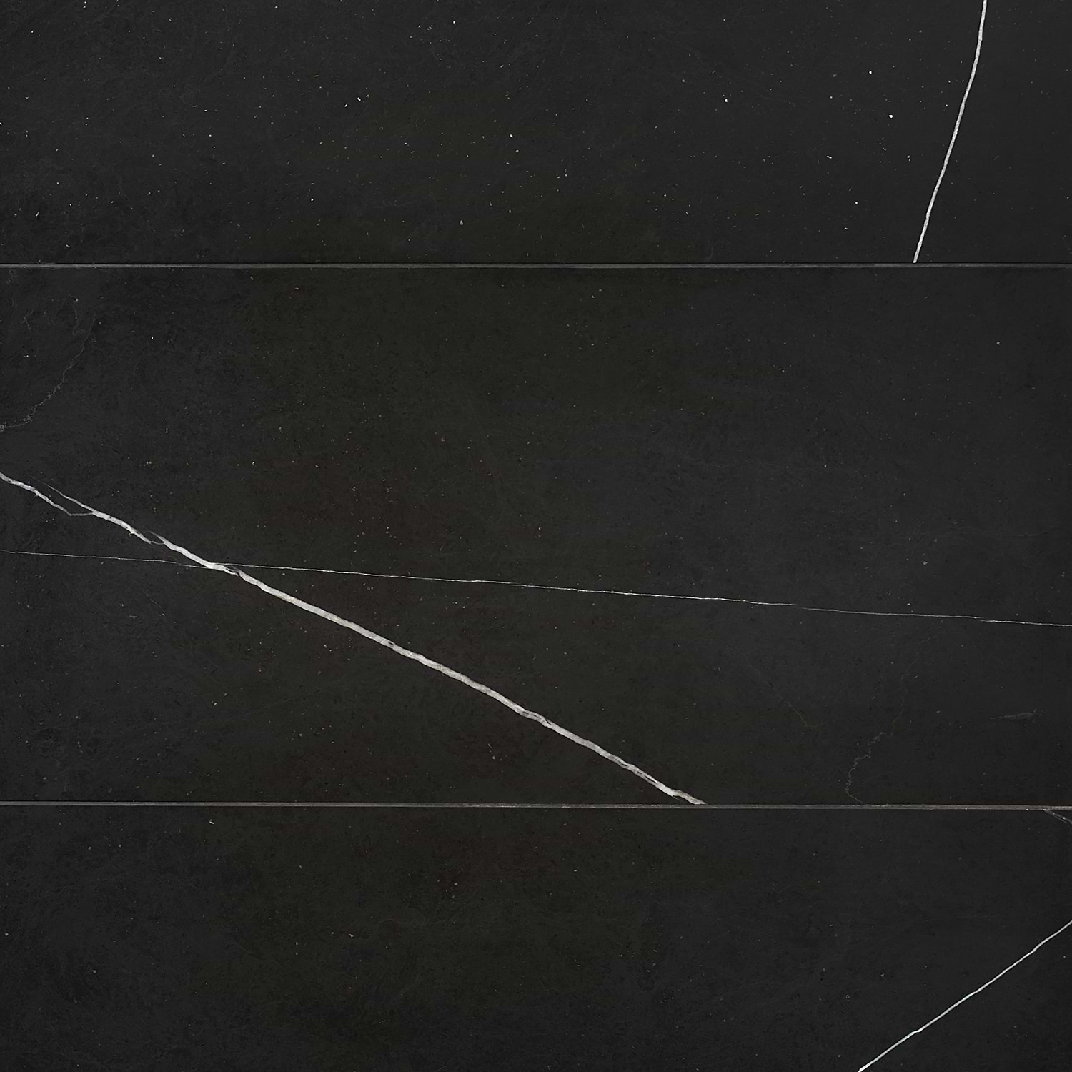 Nero Marquina Honed 12x24 