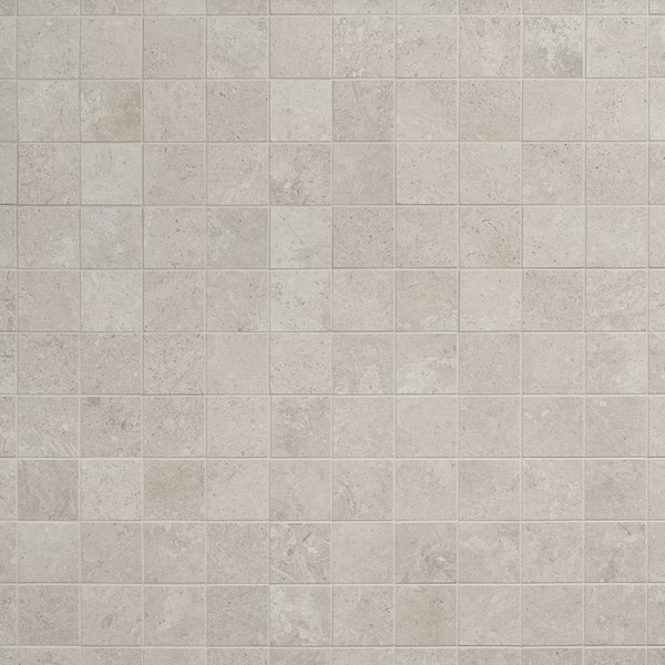 Chevalier Avorio White 2x2 Matte Porcelain