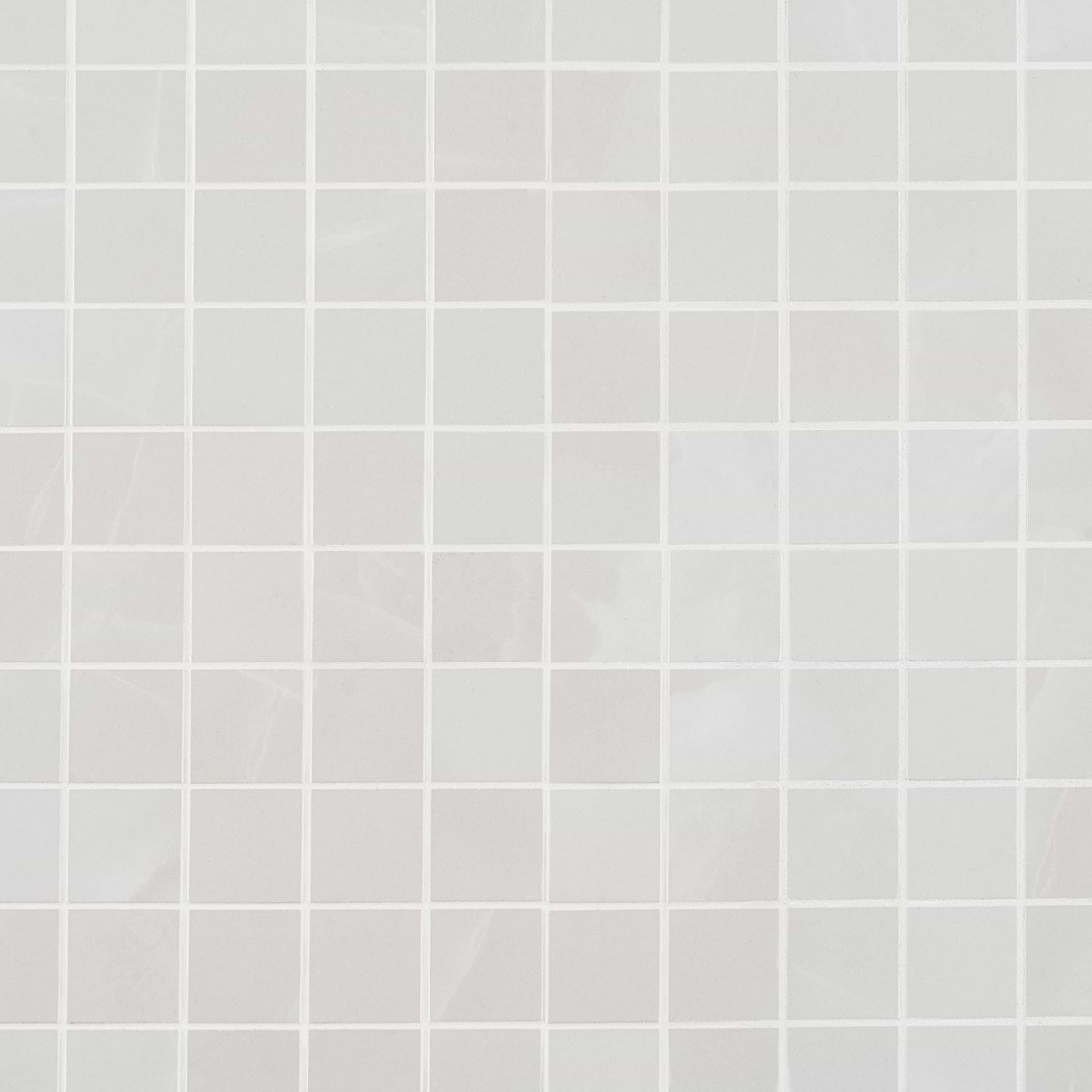 Lithe Aztec Onyx Bianco 2x2 Matte 