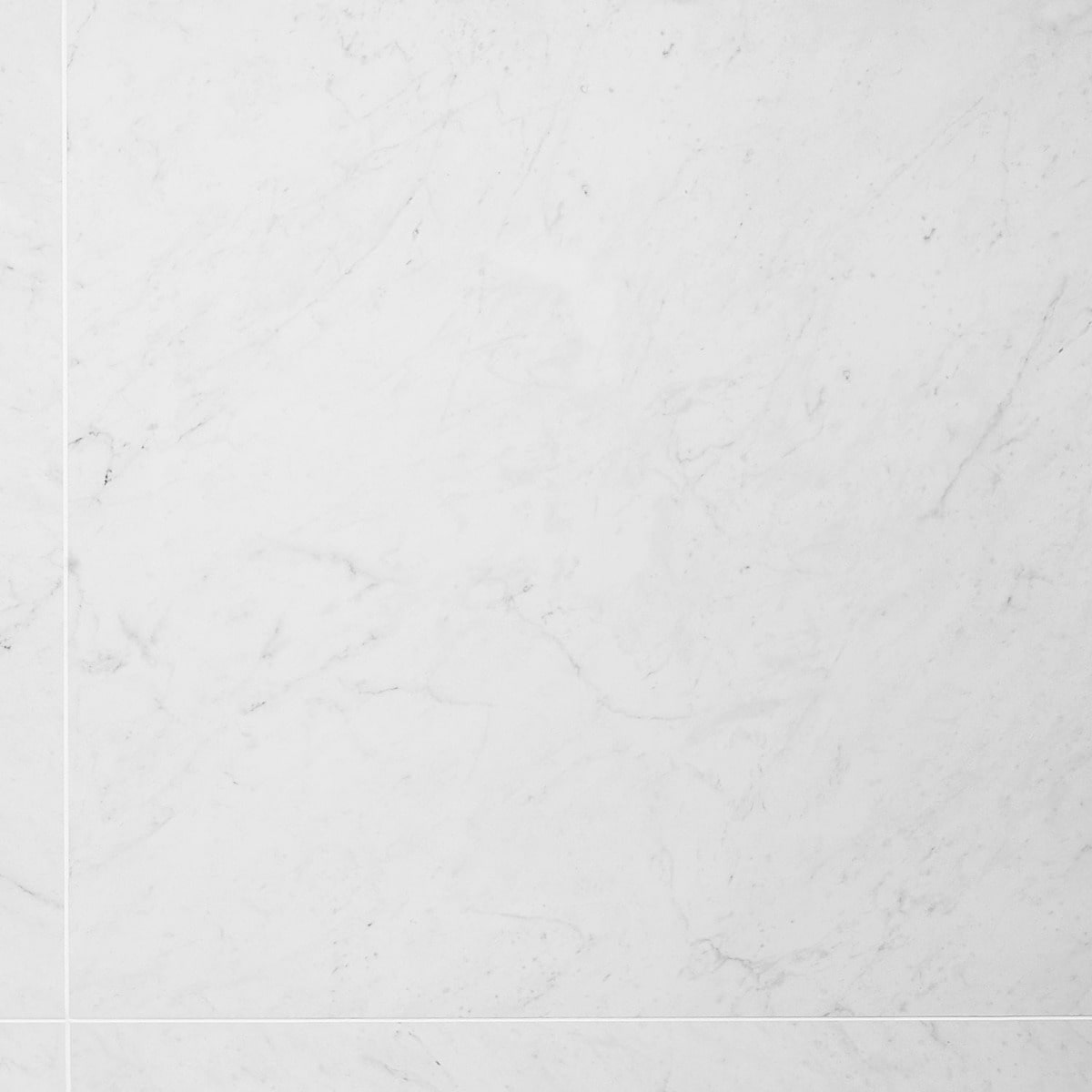Lithe Carrara Giola 24x24 Matte 