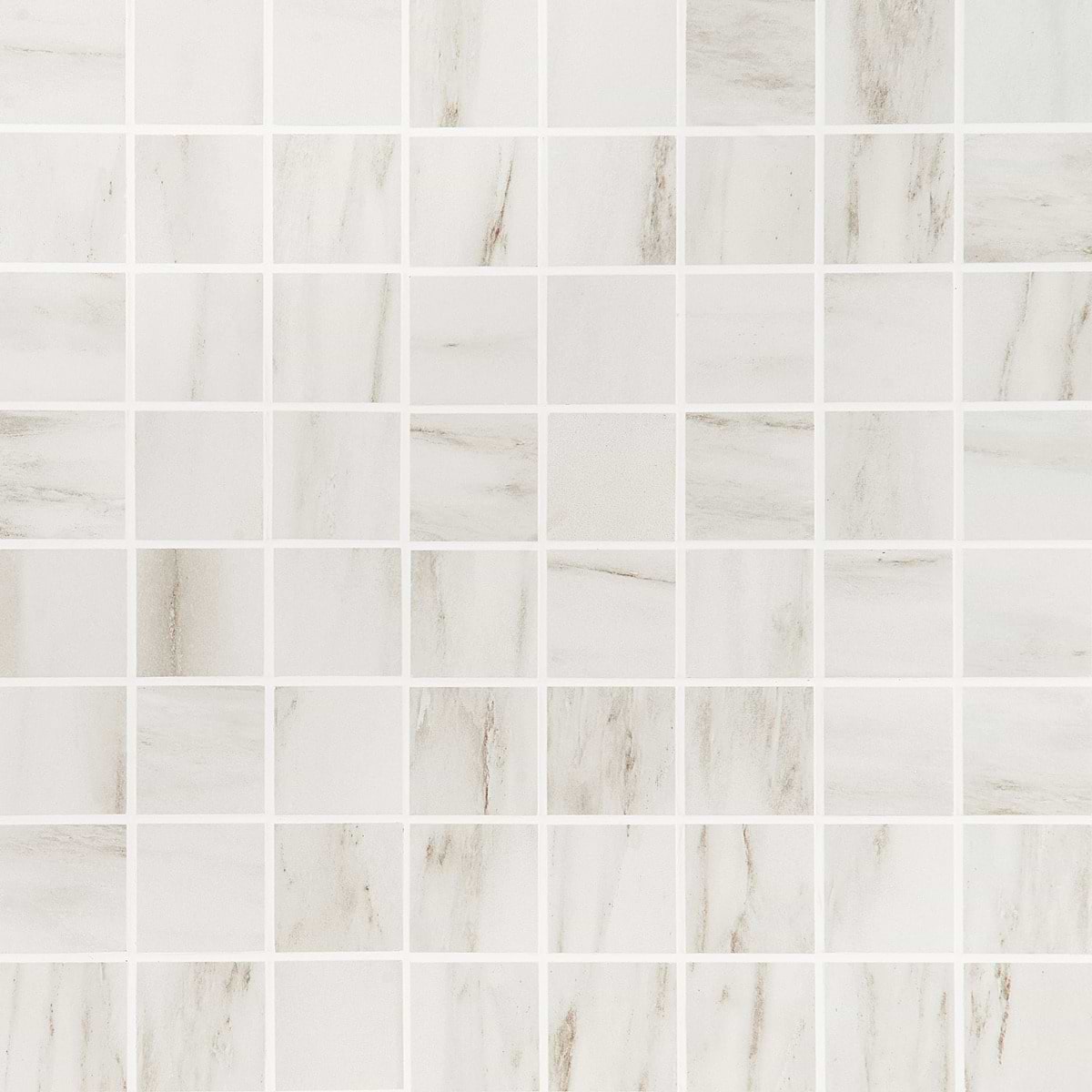 Lithe Dolomite Snow 2x2 Matte  Porcelain