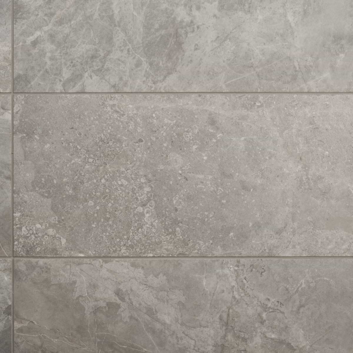 Shop Ateno Fossil Gray 12x24 Matte Porcelain Tile at