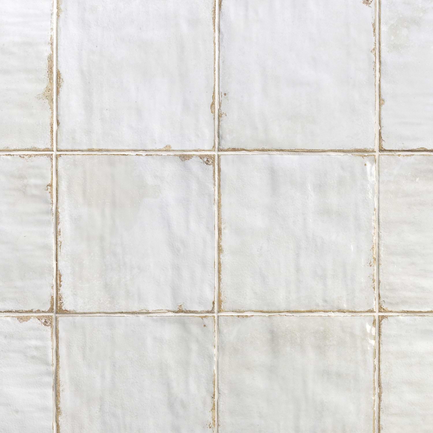 Angela Harris Dunmore Blanco 8x8 