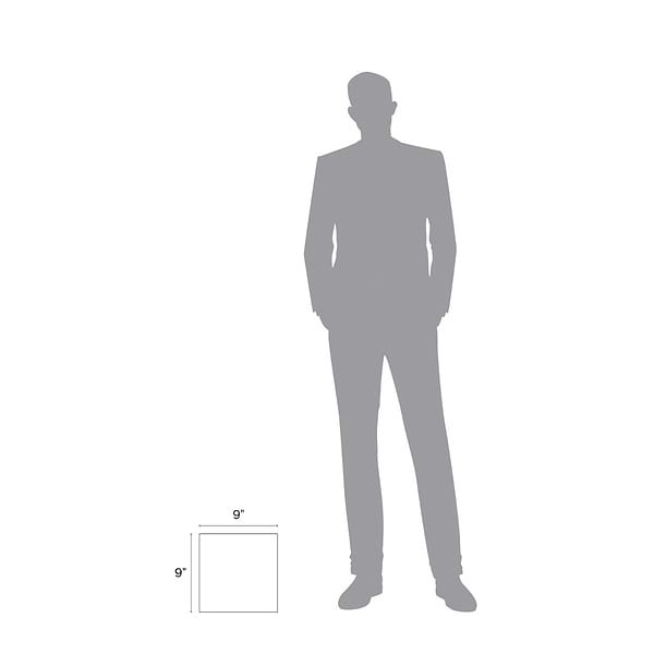 Dhar Stella Blue 9x9 Matte Porcelain