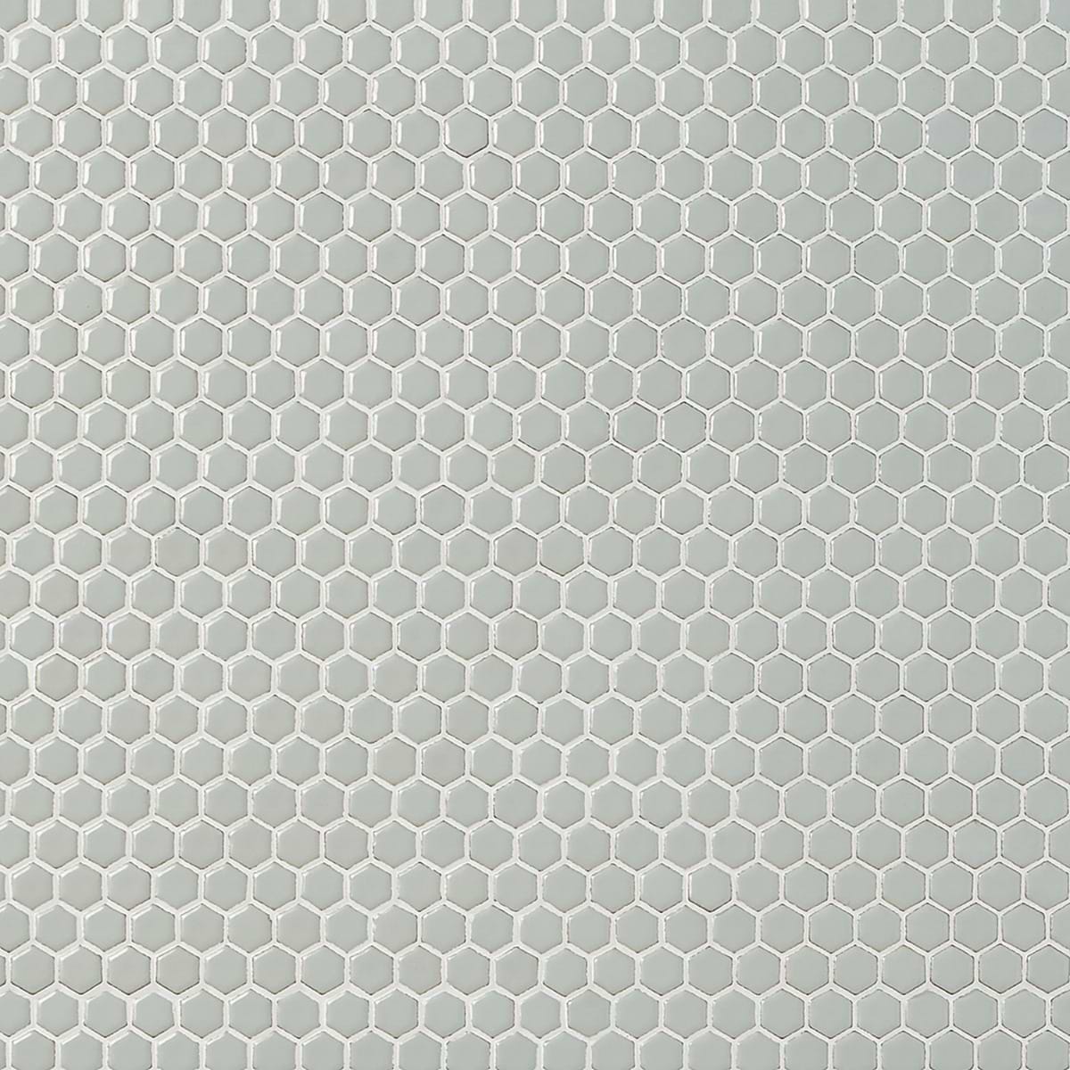 Simple 2.0 Rimmed Sage 1" Hexagon Polished Porcelain Mosaic