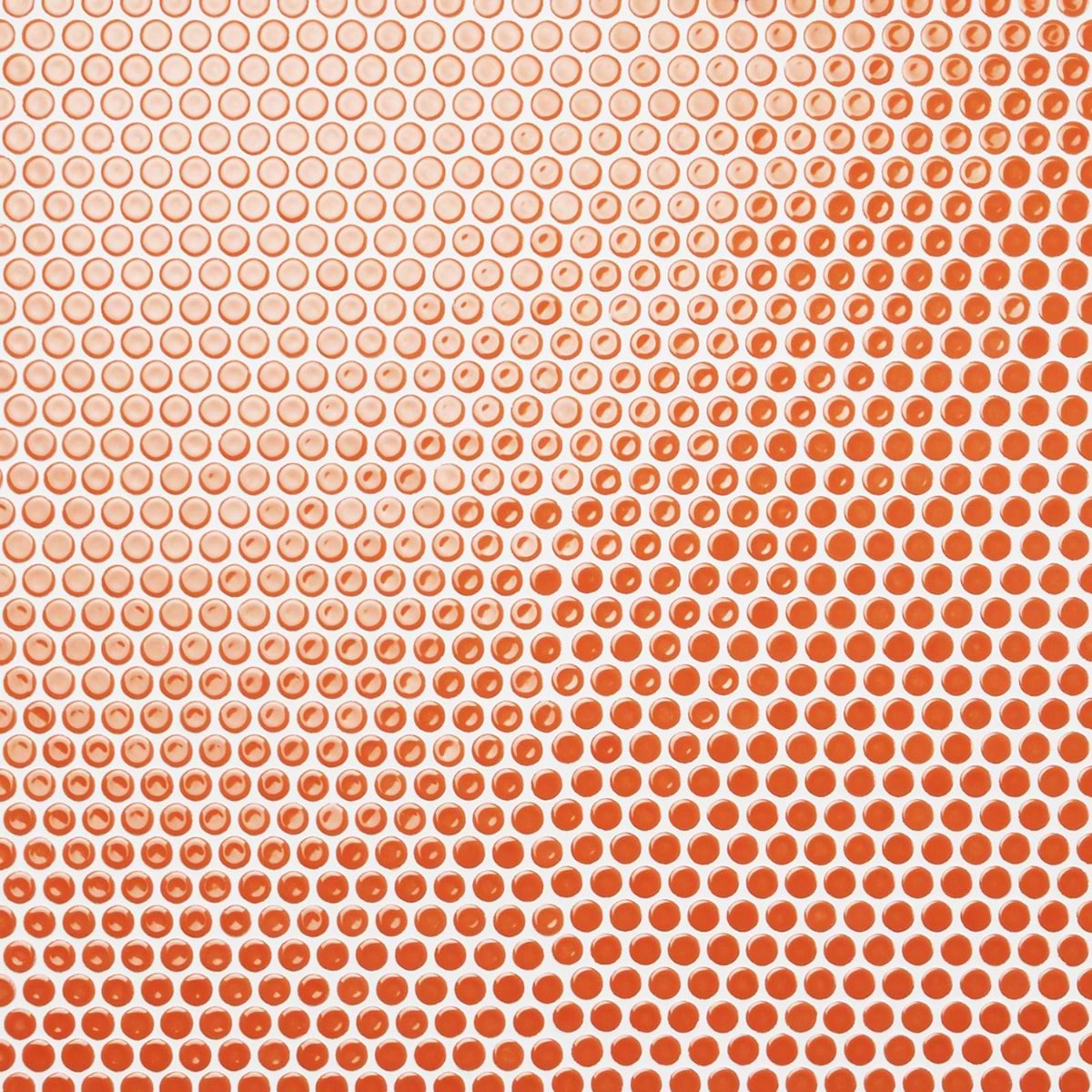 Sample-Simple 2.0 Tangerine Rimmed 1" Penny Round Polished Porcelain Mosaic 