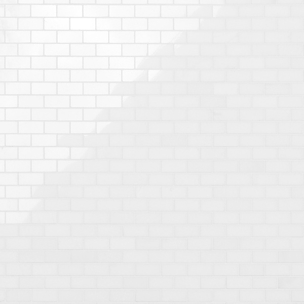 White Thassos 1x2 Brick Polished Marble