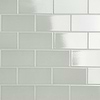 Palisa Fern Green 4x8 Crackled Glossy Ceramic Tile