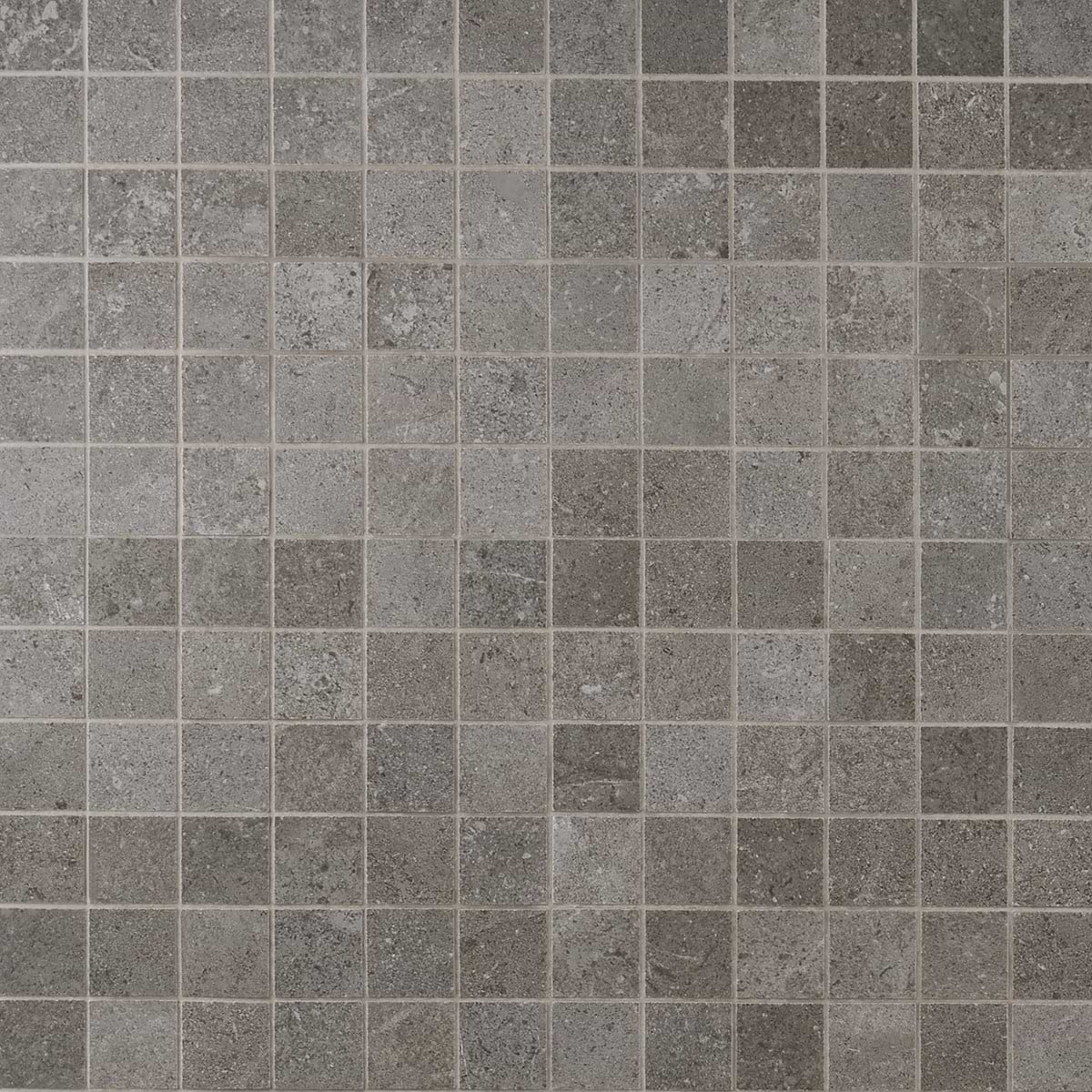 Ages Fossil 2x2 Matte 