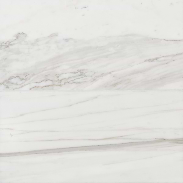Calacatta 12x24 Honed Marble Tile