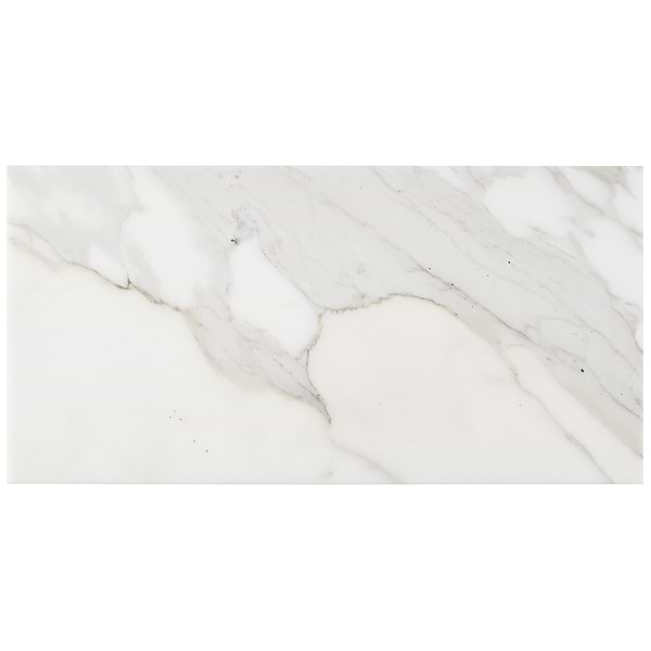 Calacatta 12x24 Honed Marble Tile