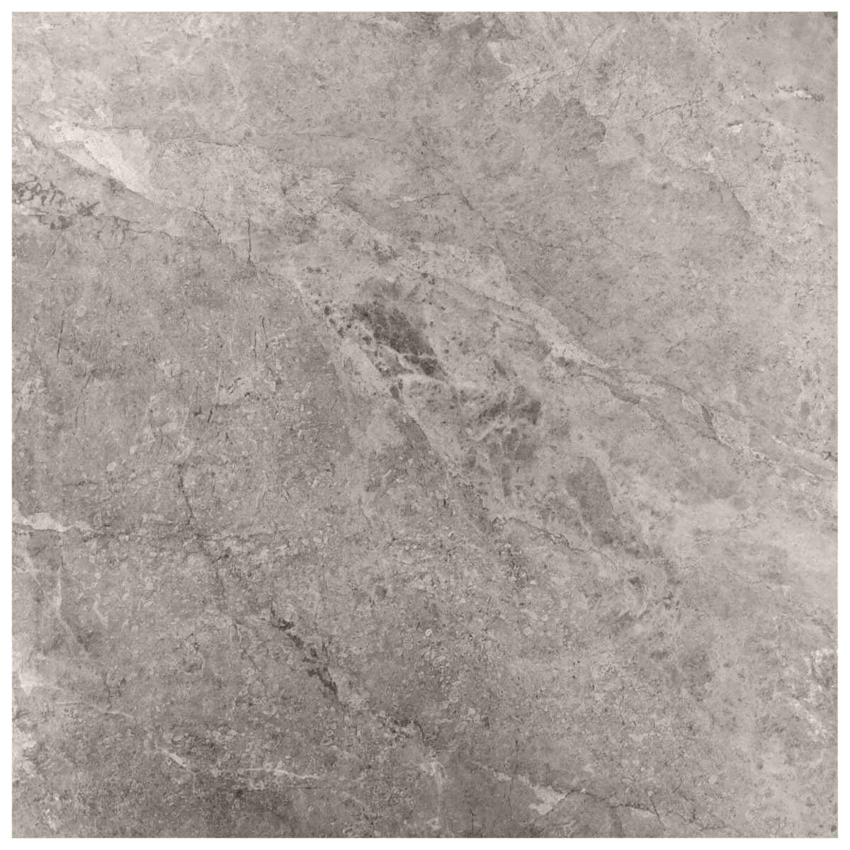 Ateno Fossil Gray 36x36 