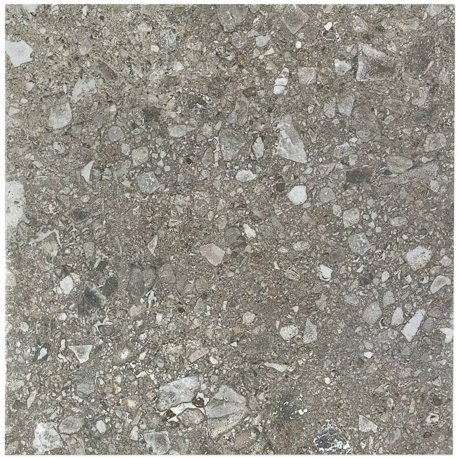 Futura Terrazzo Antracite 24x24 Semi-Polished Porcelain