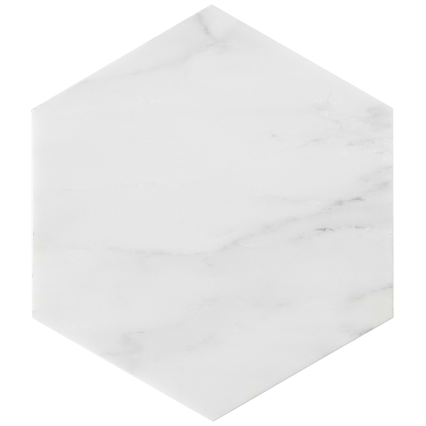 Epoch Asian Statuary 10" Hexagon Honed Honed Marble