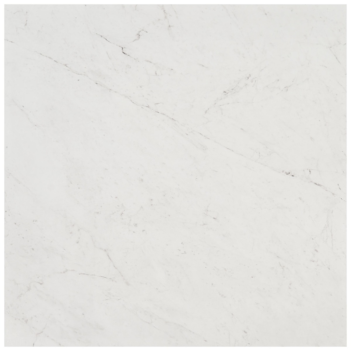 Lithe Carrara Giola 24x24 Polished Porcelain