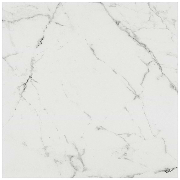 Lithe Statuario Venato 24x24 Matte Porcelain