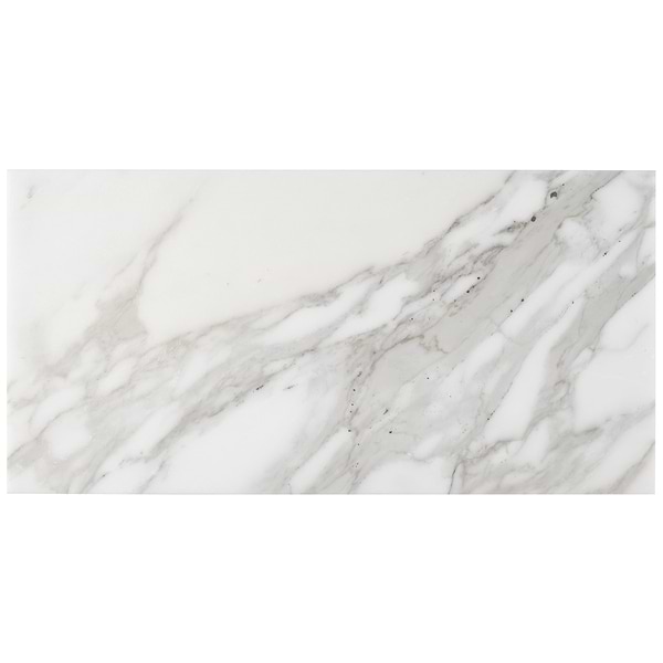 Calacatta 12x24 Honed Marble Tile