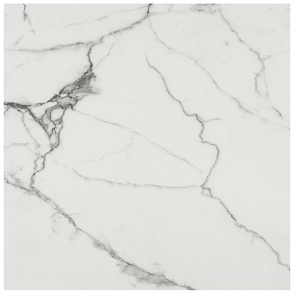 Lithe Statuario Venato 24x24 Matte Porcelain