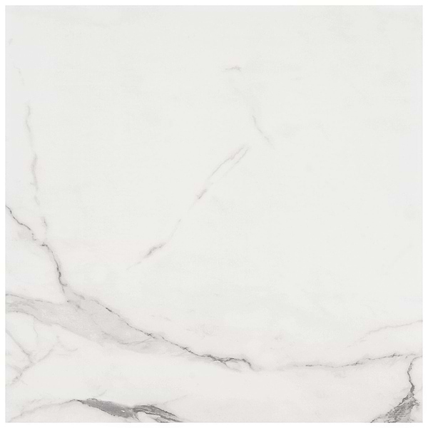 Lithe Statuario Venato 24x24 Polished Porcelain