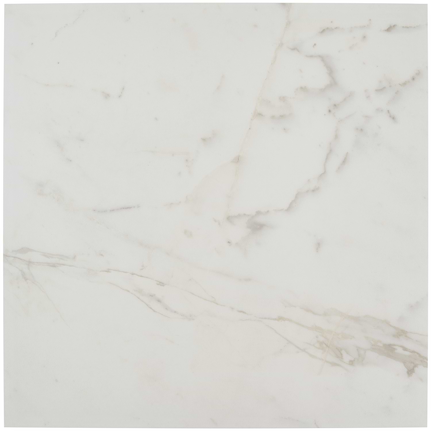 Versilia Calacatta 24x24 Matte  Porcelain