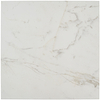 Versilia Calacatta 24x24 Matte  Porcelain