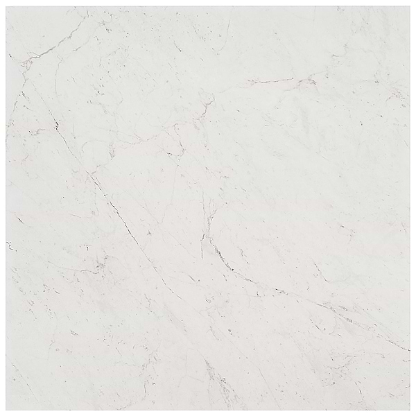 Lithe Carrara Giola 24x24 Polished Porcelain