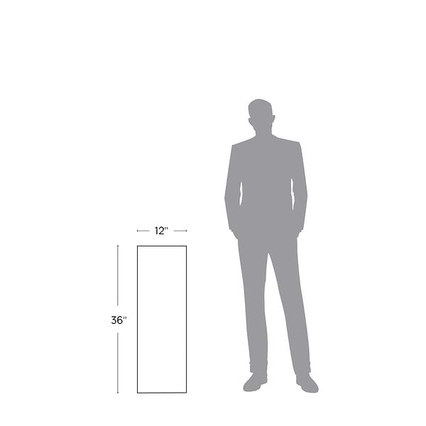 Esperito Mountain 12X36 Pool Coping Matte Porcelain