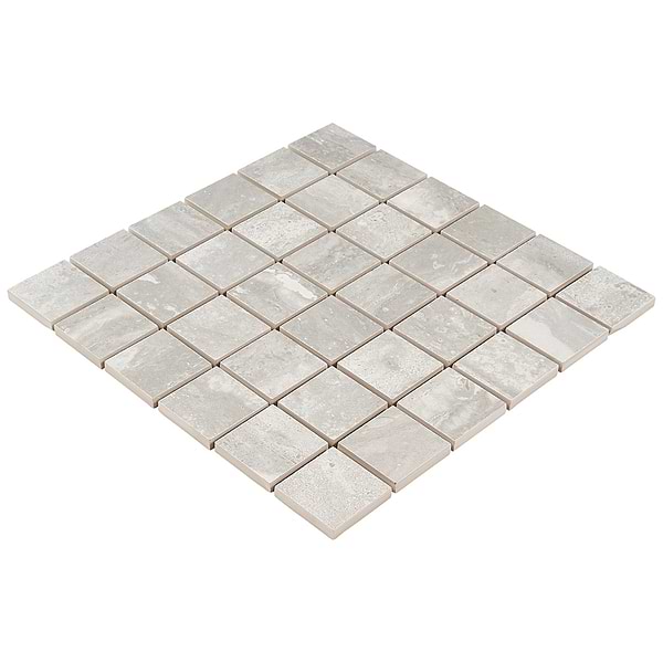 Everyday Travertine Silver 2x2 Matte Porcelain