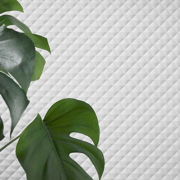 Close Out - Accent Montana White 12x36 Matte