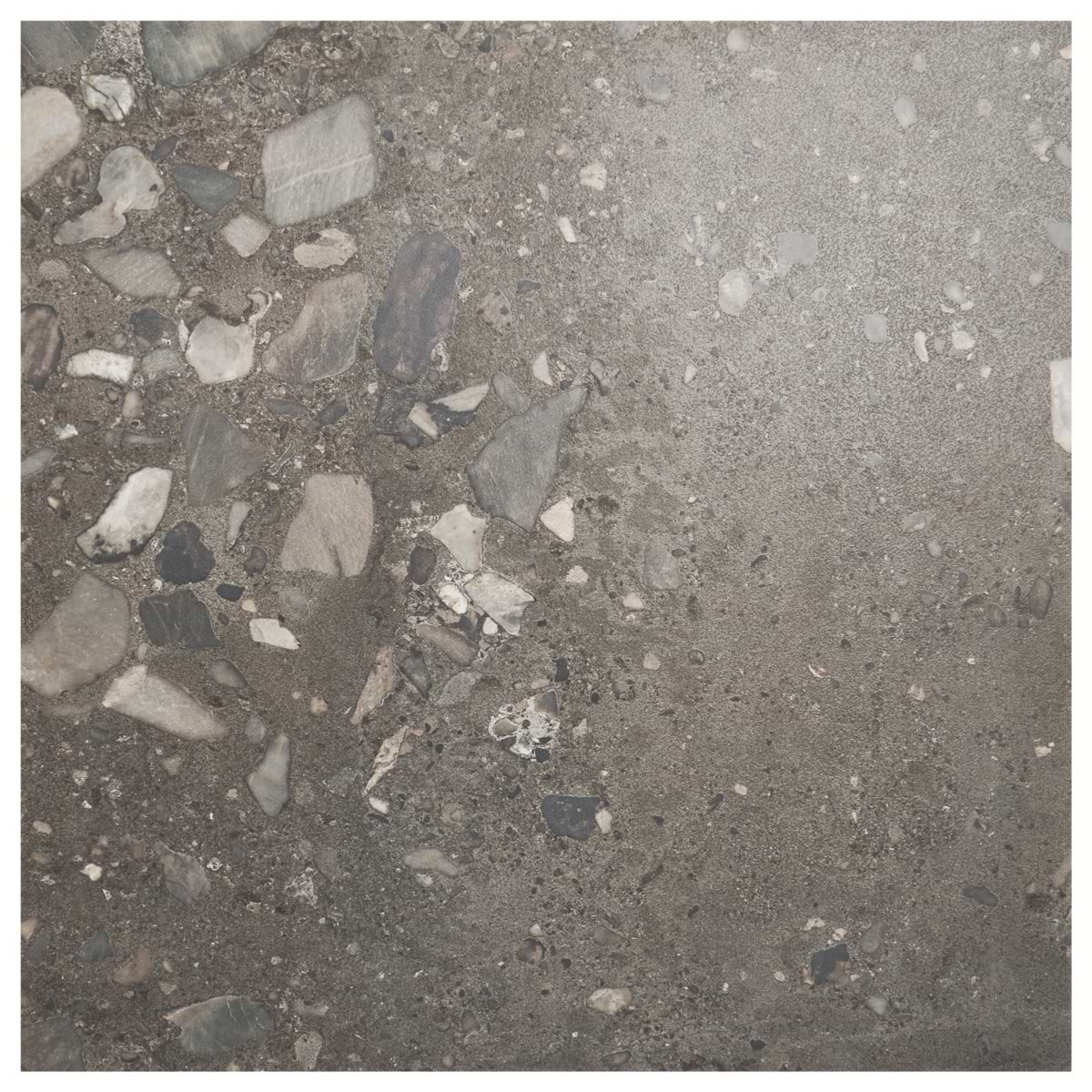 Renoir Grande Antracite Gray 36x36 Semi-Polished Porcelain 