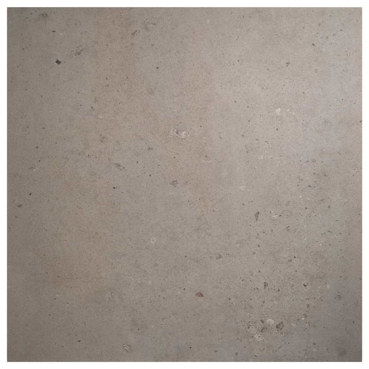 Renoir Petite Taupe Gray 36x36 Matte Porcelain 