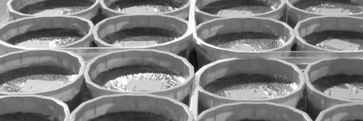 Skids of lick tubs