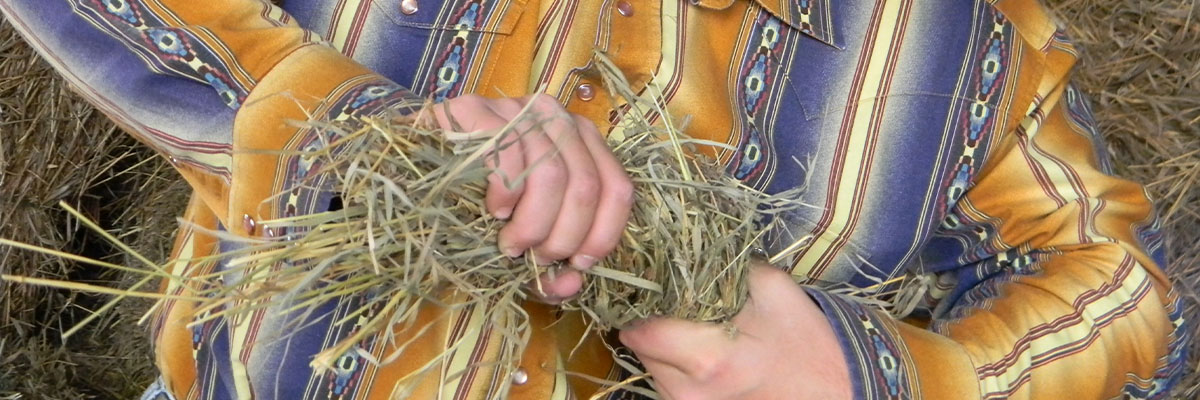 squeezing forages thumbnail