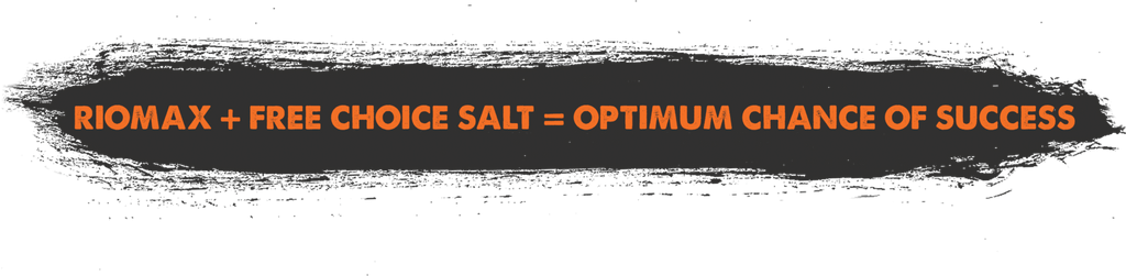 Riomax and Salt Riomax and Salt