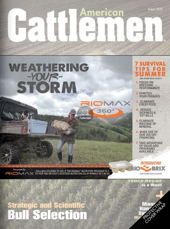 Riomax Sponsored American Cattleman Magazine August 2020 Edition.  7 Survival Tips For Summer Article