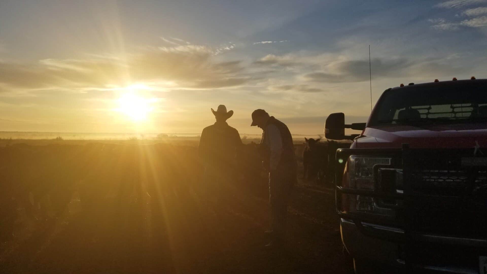 rancher working until sunset rancher working until sunset