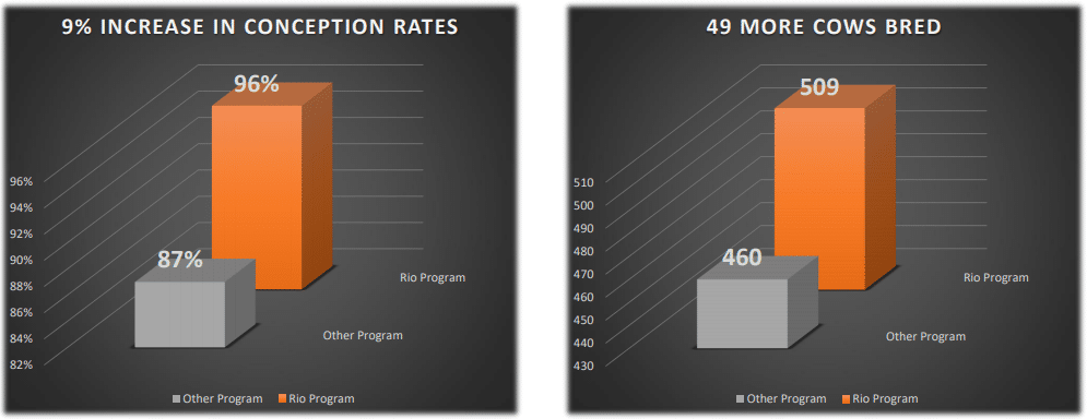 Conception Rates During Drought Trial - Jenner, Alberta