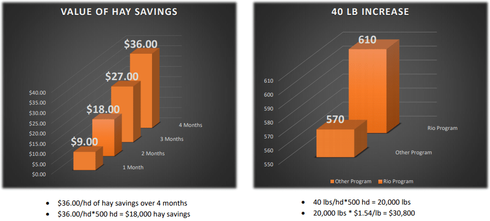 Hay Savings & Weight Gain Trial - Kaycee, Wyoming