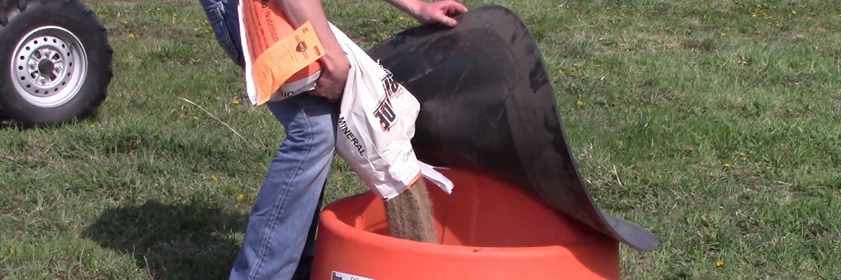 RioGrande loose mineral being fed to cattle