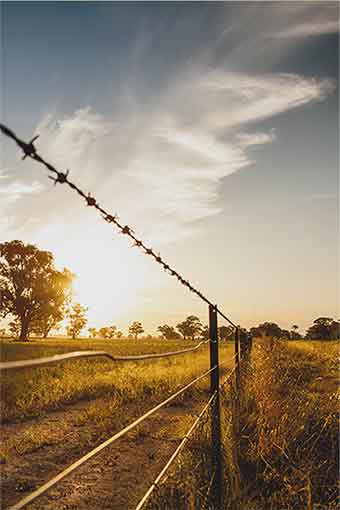 Sunset and Fence Sunset and Fence