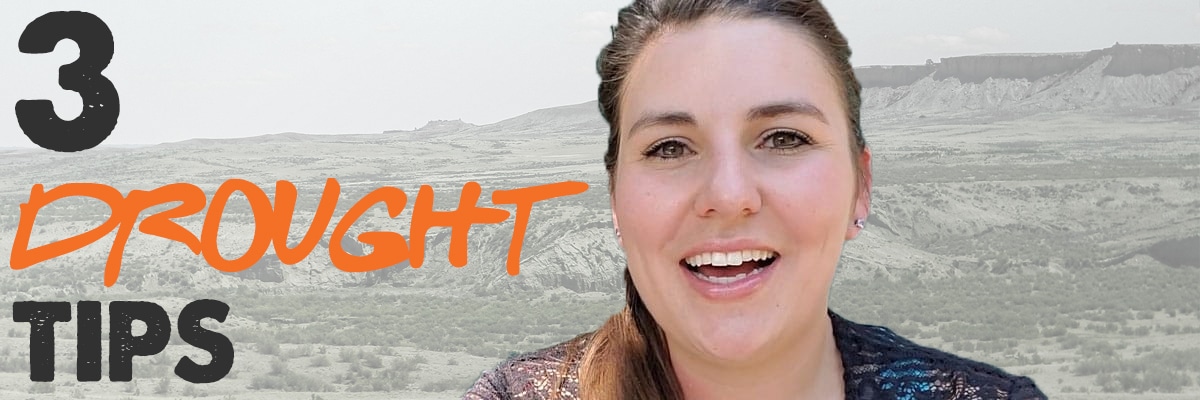 drought tips on ranch
