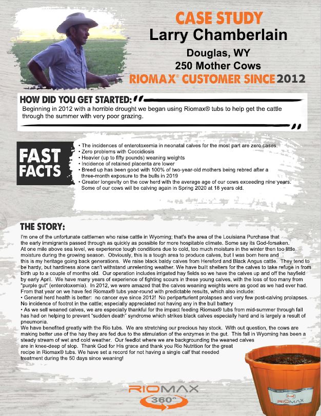 Larry Chamberlain Case Study