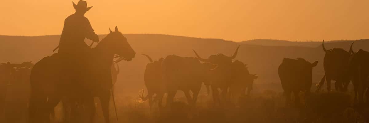 facing drought risks thumbnail