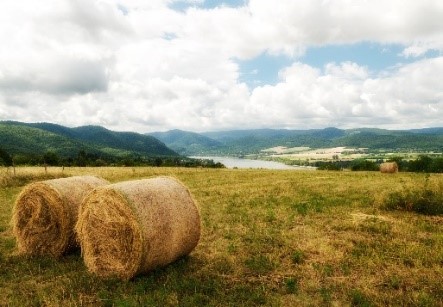 hay with landscape photo hay with landscape photo