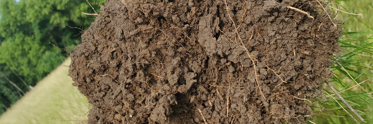 minerals affect soil health thumbnail