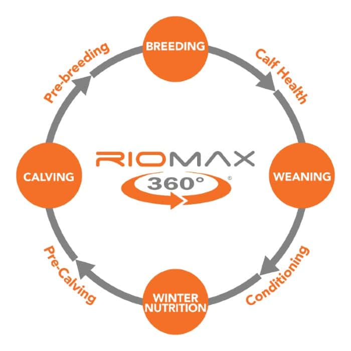 RioCycleBlogGraphic RioCycleBlogGraphic
