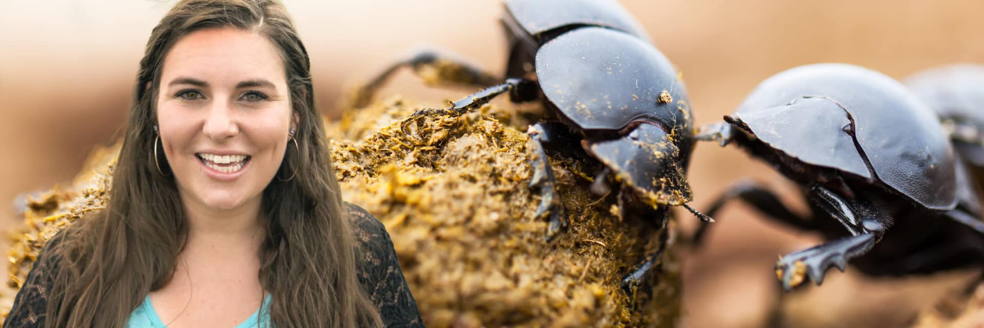 Why are dung beetles important Creative Blog Thumbnail