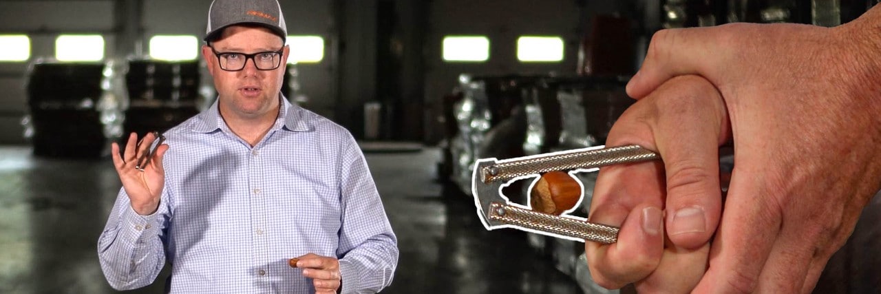How does FungiFuel Work Like a Nutcracker Creative Blog Thumbnail