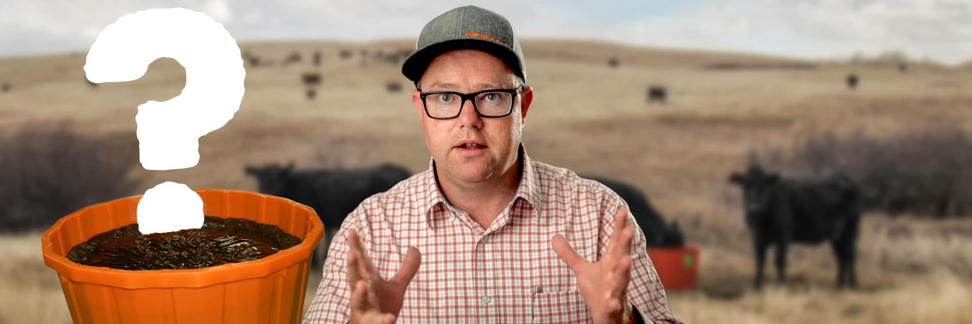 Should you use Riomax this fall Creative Blog Thumbnail