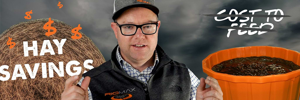 Can I offset the cost of Riomax with hay savings Creative Blog Thumbnail